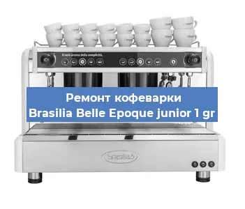 Замена счетчика воды (счетчика чашек, порций) на кофемашине Brasilia Belle Epoque junior 1 gr в Екатеринбурге